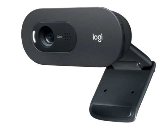 Imagem de WEBCAM HD C505 LOGITECH